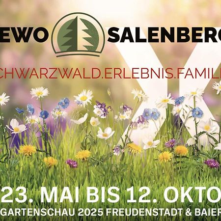 Fewo Salenberg Freudenstadt Kültér fotó